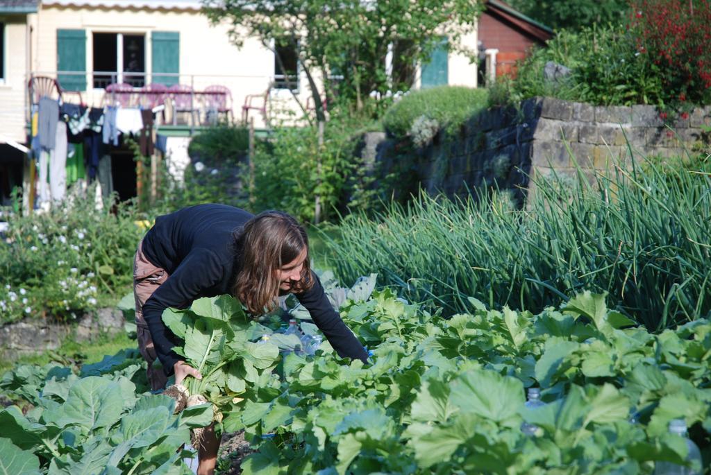 Sonnmatt Bergpension & Gesundheitszentrum Ebnat-Kappel Buitenkant foto