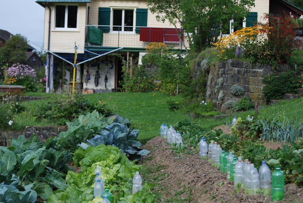Sonnmatt Bergpension & Gesundheitszentrum Ebnat-Kappel Buitenkant foto